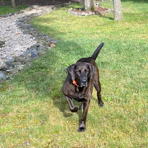 Meet your Posher, Ty